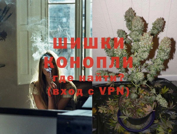 ГАЛЛЮЦИНОГЕННЫЕ ГРИБЫ Новозыбков