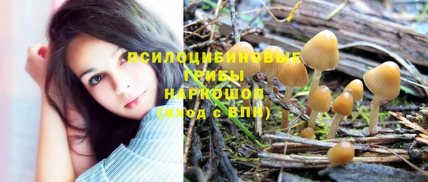 mix Аркадак