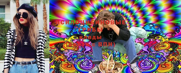 МДПВ Арсеньев